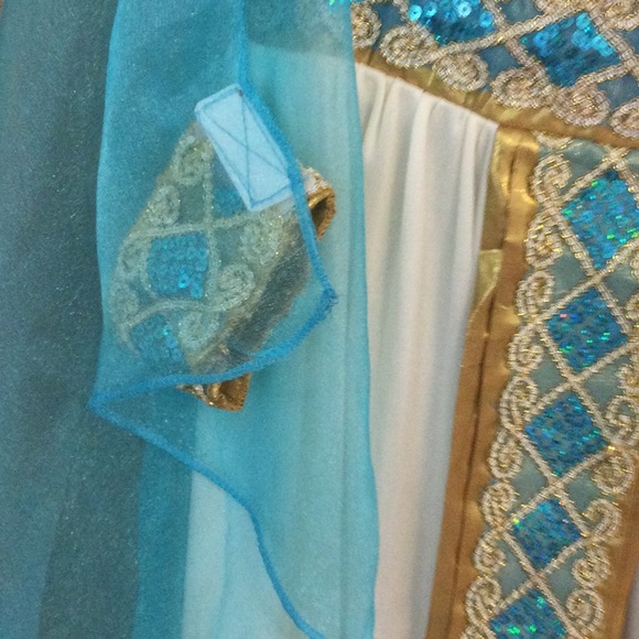 Bundle wig/Cleopatra Halloween costume size large. - Picture 8 of 8